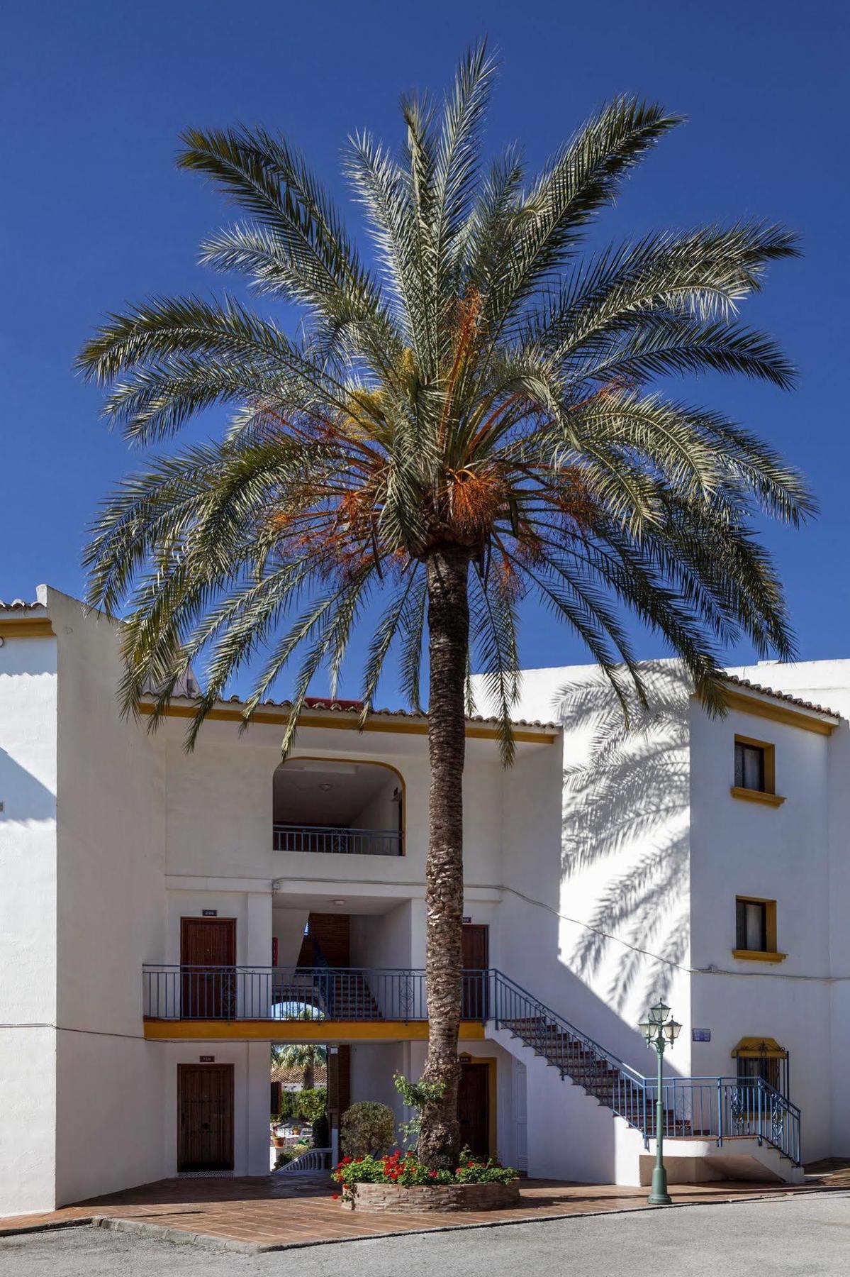 Crown Resorts Club La Riviera La Cala De Mijas Buitenkant foto
